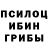 Псилоцибиновые грибы Psilocybine cubensis Renata Shangareeva