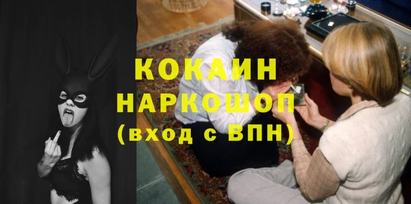 крисы Тында