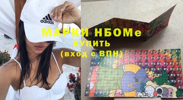 крисы Тында