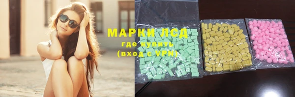 крисы Тында