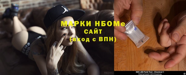 крисы Тында