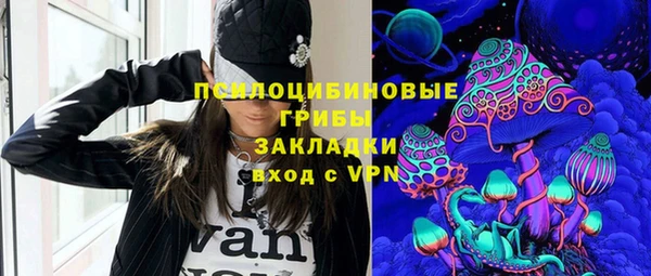 крисы Тында