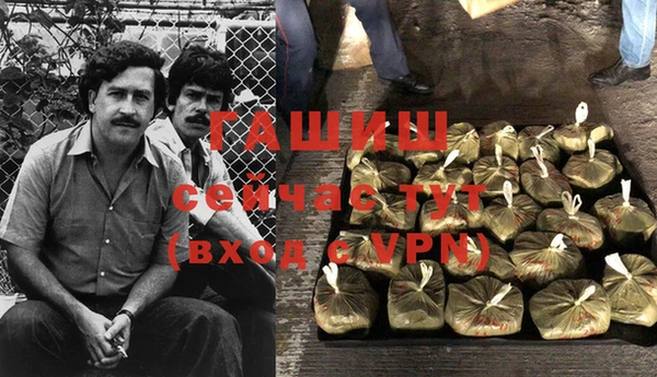 крисы Тында