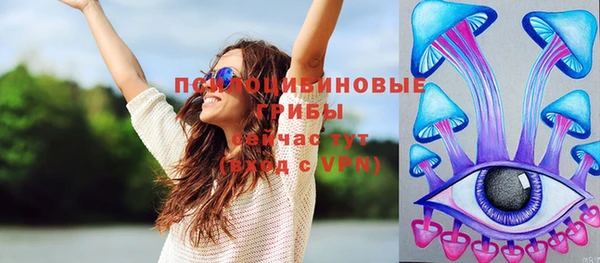 крисы Тында