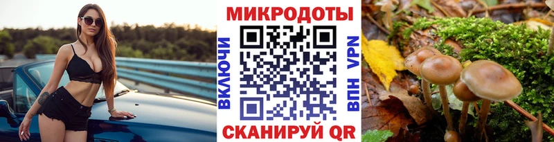Псилоцибиновые грибы мухоморы Алагир